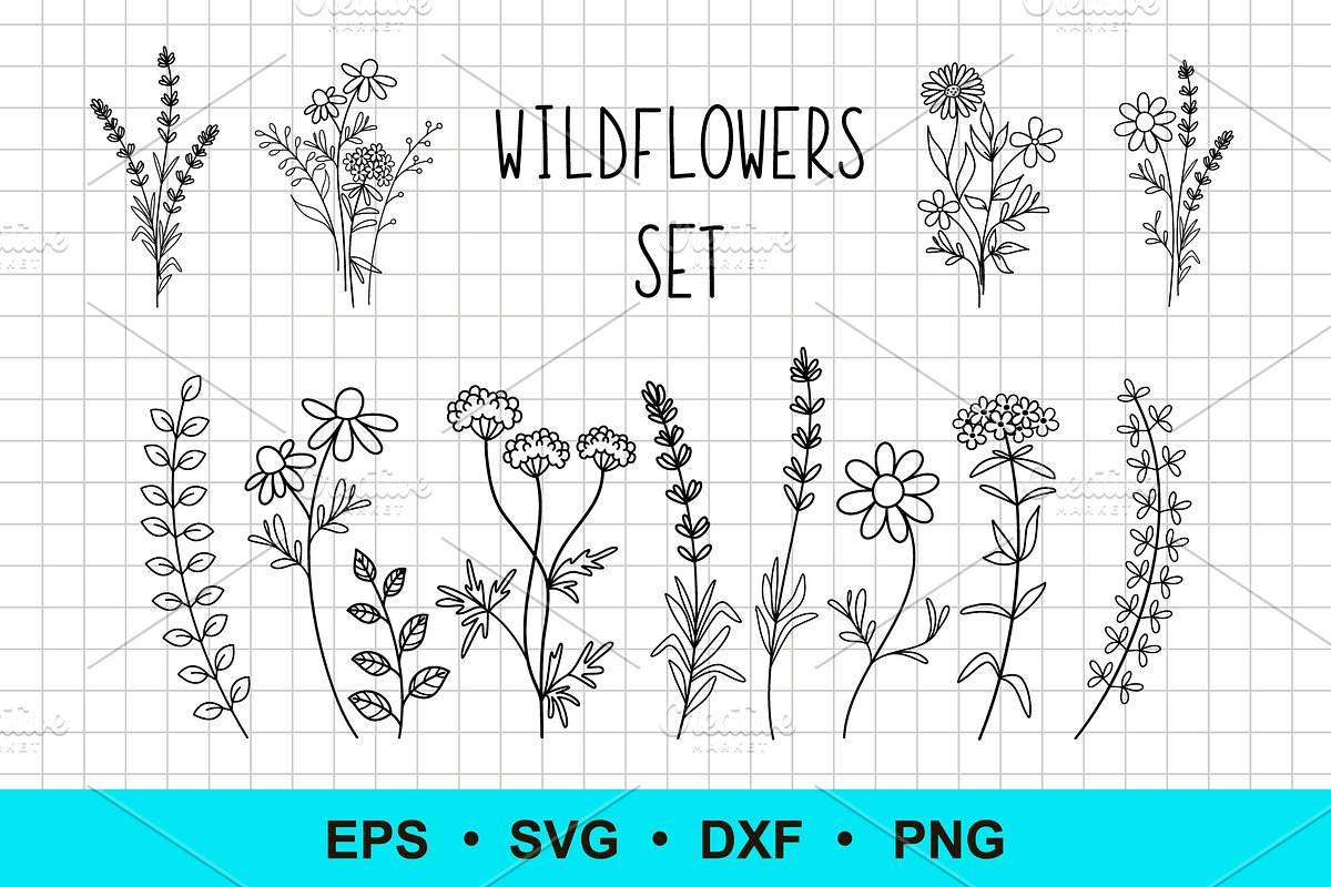 Wildflowers Vector Clip Art, a Decorative Illustration by Elena Nesterova (Photo 1 of 4)
