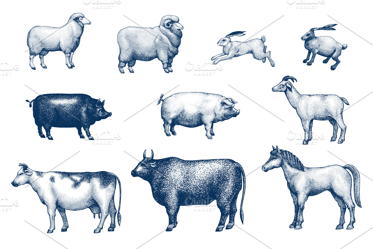 Farm Animals Vector Collection, an Animal Illustration by Lubov Illustrations Shop (Photo 2 of 4)