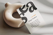 Papois; 12 Humanist Serif Fonts, a Serif Font by Eko Bimantara (Thumbnail 10 of 10)
