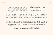 Regkan Elegant Ligature Serif Font T, a Serif Font by Perfectype (Thumbnail 6 of 6)