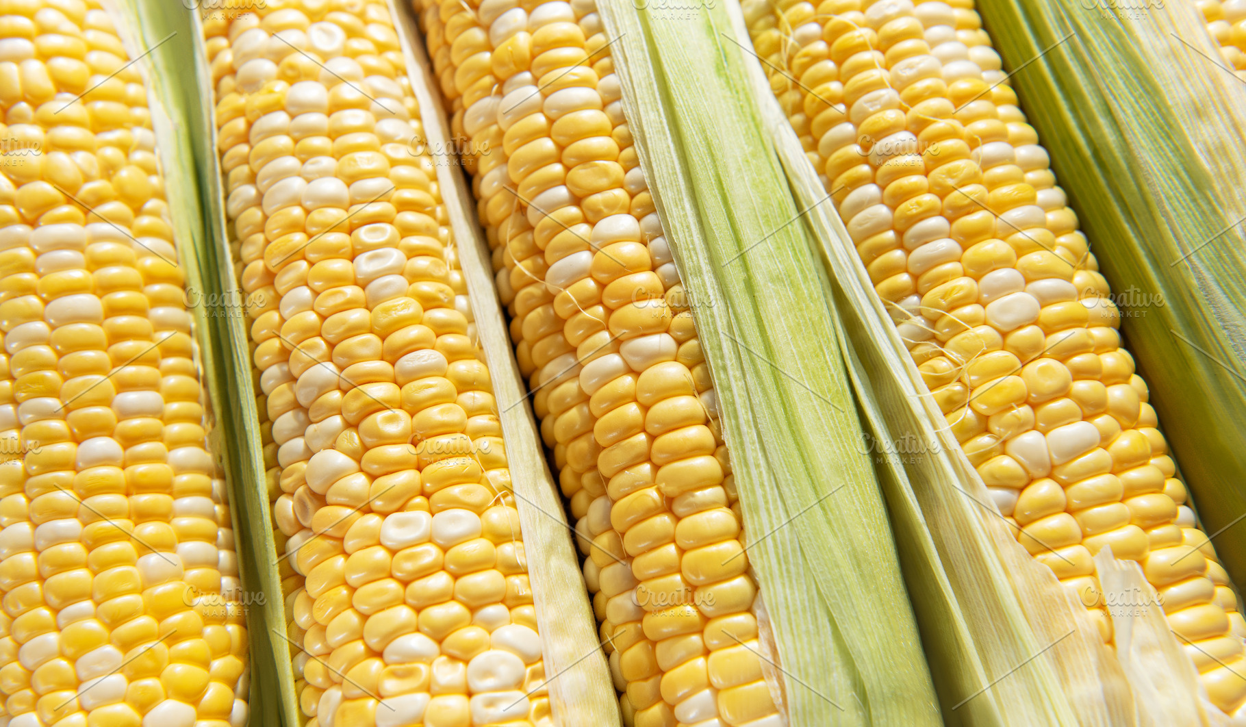 Fresh sweet corn cobs showing yellow kernels, a Food & Drink Photo by Olena Rudo