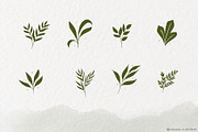 Line Drawing - Leaves, an Object Illustration by aquene (Thumbnail 3 of 9)
