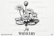 Birth Month Flowers SVG PNG Bundle, an Illustration by Actual Pixel (Thumbnail 16 of 24)