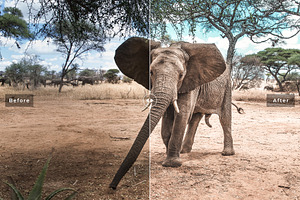 Africa Lightroom Presets Collection