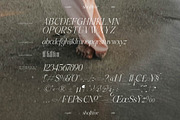 Shoftime A New Modern Serif Font, a Serif Font by Storytype Studio (Thumbnail 14 of 15)