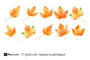 Watercolor Autumn Leaves Clipart, an Object Graphic by crafty (Thumbnail 3 of 5)