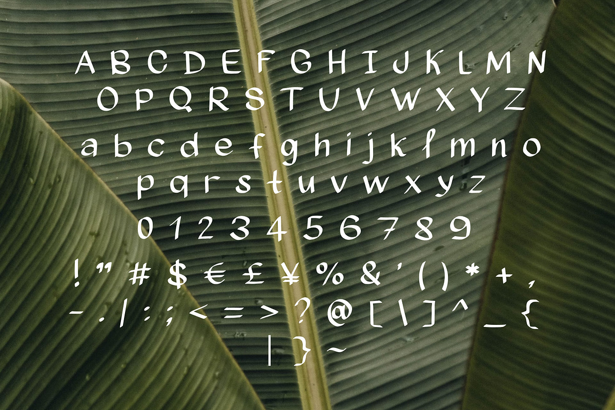 Hidden nature Handwritten Font, a Handwritten Font by Feelsoul (Photo 6 of 9)