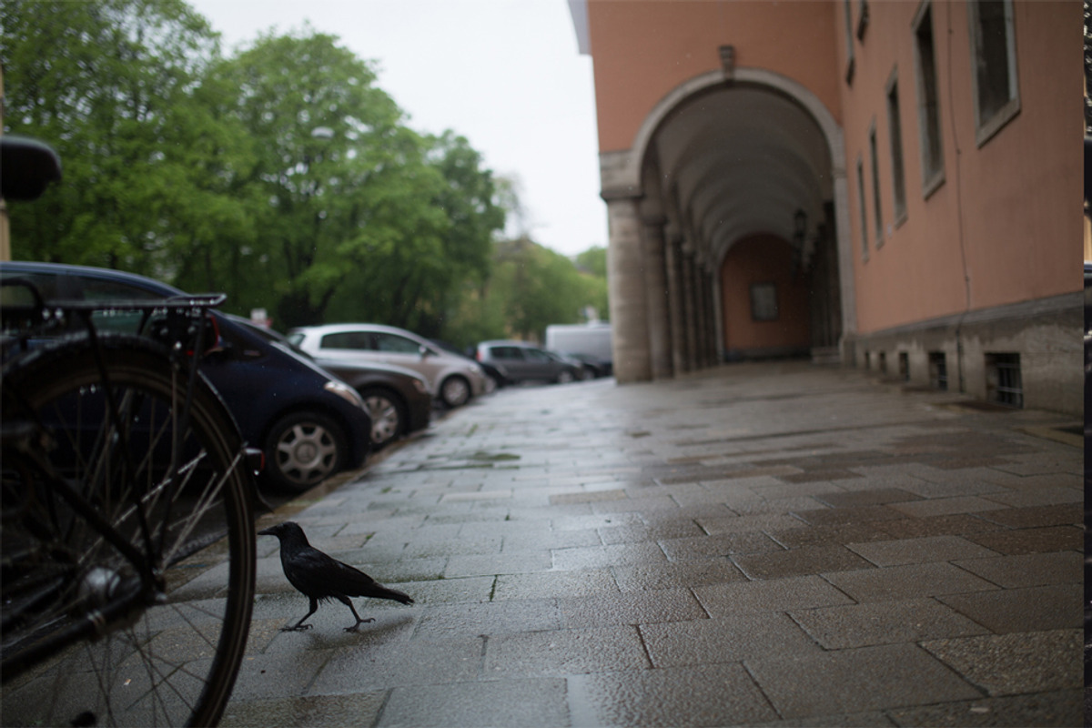 LIGHTROOM PRESETS - travel lifestyle, an Action Add-On by Graphics, Presets, Photos (Photo 43 of 67)
