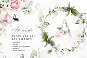 Amanda | Botanical set | 205 images, an Illustration by Karma (Thumbnail 1 of 27)