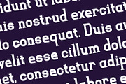 Arithrelle - Vintage Serif Font, a Serif Font by Rishsketch (Thumbnail 5 of 15)