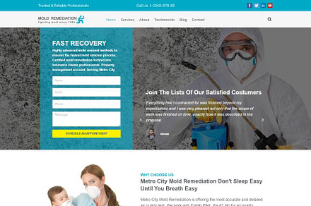 Mold Remediation WordPress Theme, a WordPress Template by Your Theme Shop