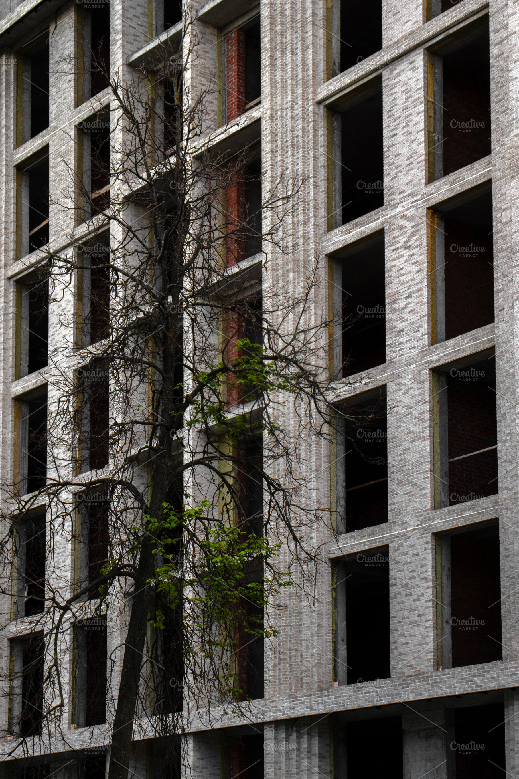 Fragment of a building cage, an Abstract Photo by Schreibikus