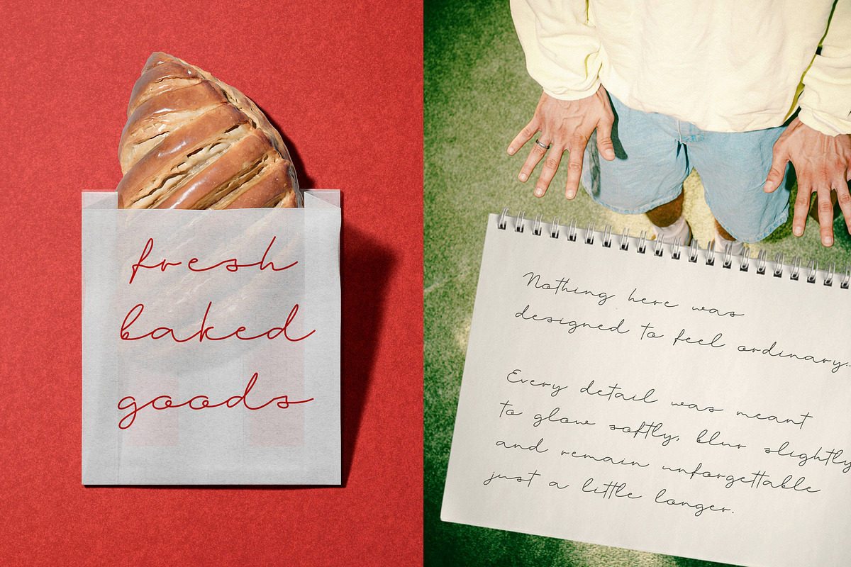 The Silver Halation Modern Script, a Script Font by Anastasiia VNSK (Photo 5 of 11)