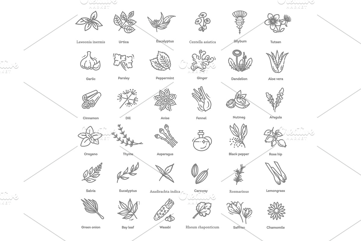 Condiment and herbs icons set, a Food Illustration by Tettygreen