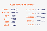 Filson Soft -Complete Font Family, a Sans Serif Font by Mostardesign Type Foundry (Thumbnail 10 of 10)