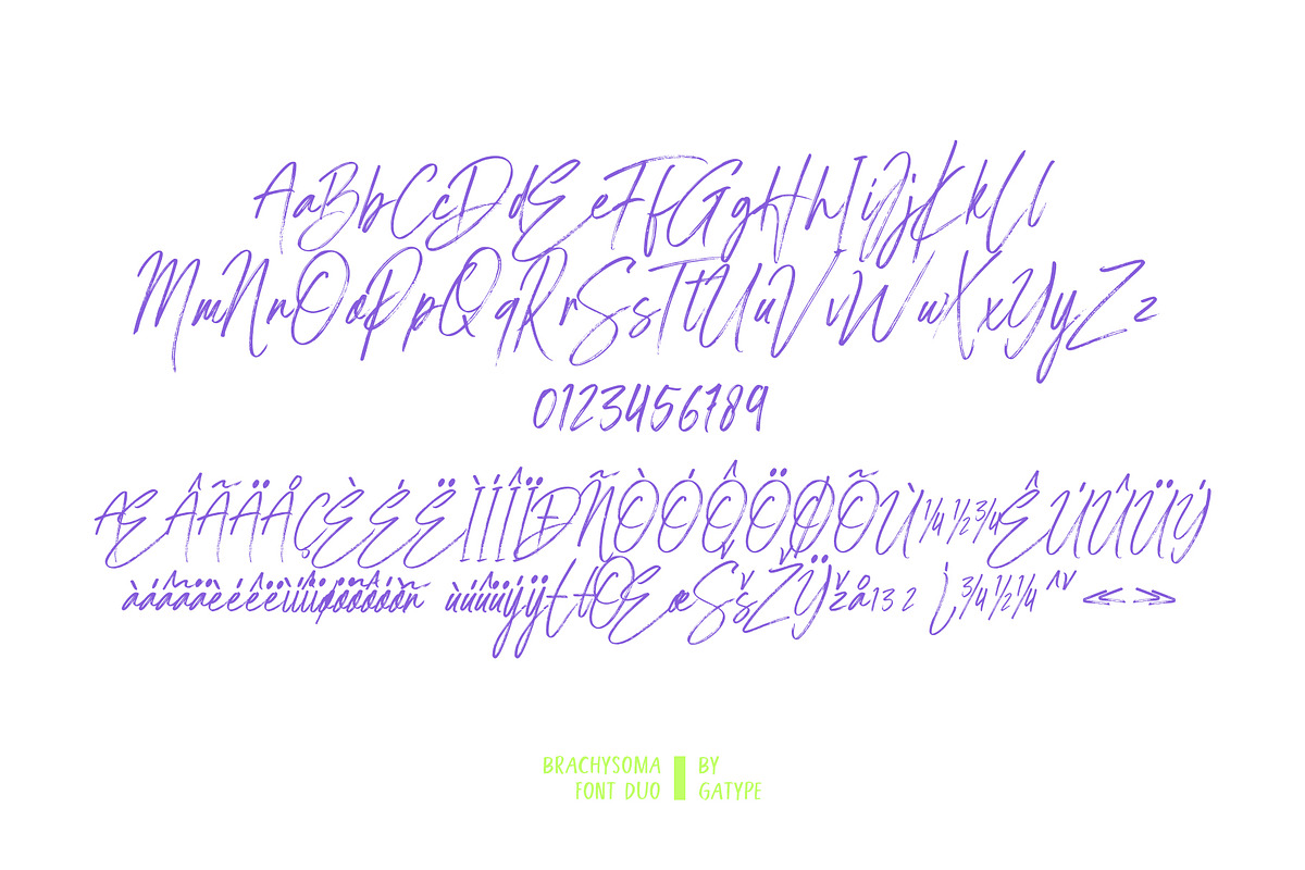 BrachysOma, a Handwritten Font by Gatype (Photo 11 of 12)