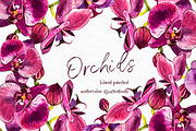 Orchids branch in botanical style, a Decorative Illustration by Ann Astro (Thumbnail 4 of 15)