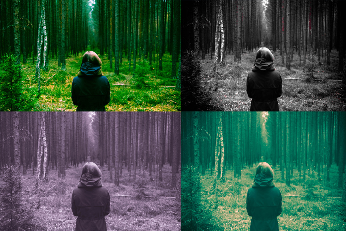 Cross Process Lightroom Presets, an Action Add-On by Flyer King (Photo 5 of 5)