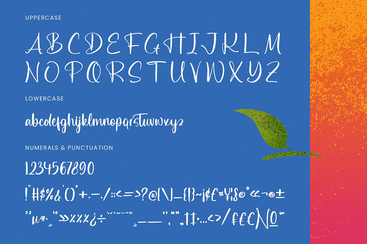 Delights Fruity Bold Brush Font, a Sans Serif Font by Letterena Studios Script (Photo 17 of 20)