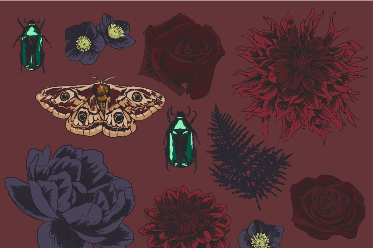 Dark Garden Floral Illustration Kit, a Seasonal Illustration by Instinct Design Co (Photo 2 of 2)