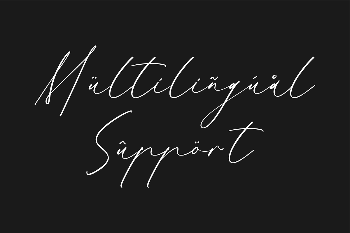 Gatenfield Mondilla Modern Signature, a Script Font by Storytype Studio (Photo 11 of 15)