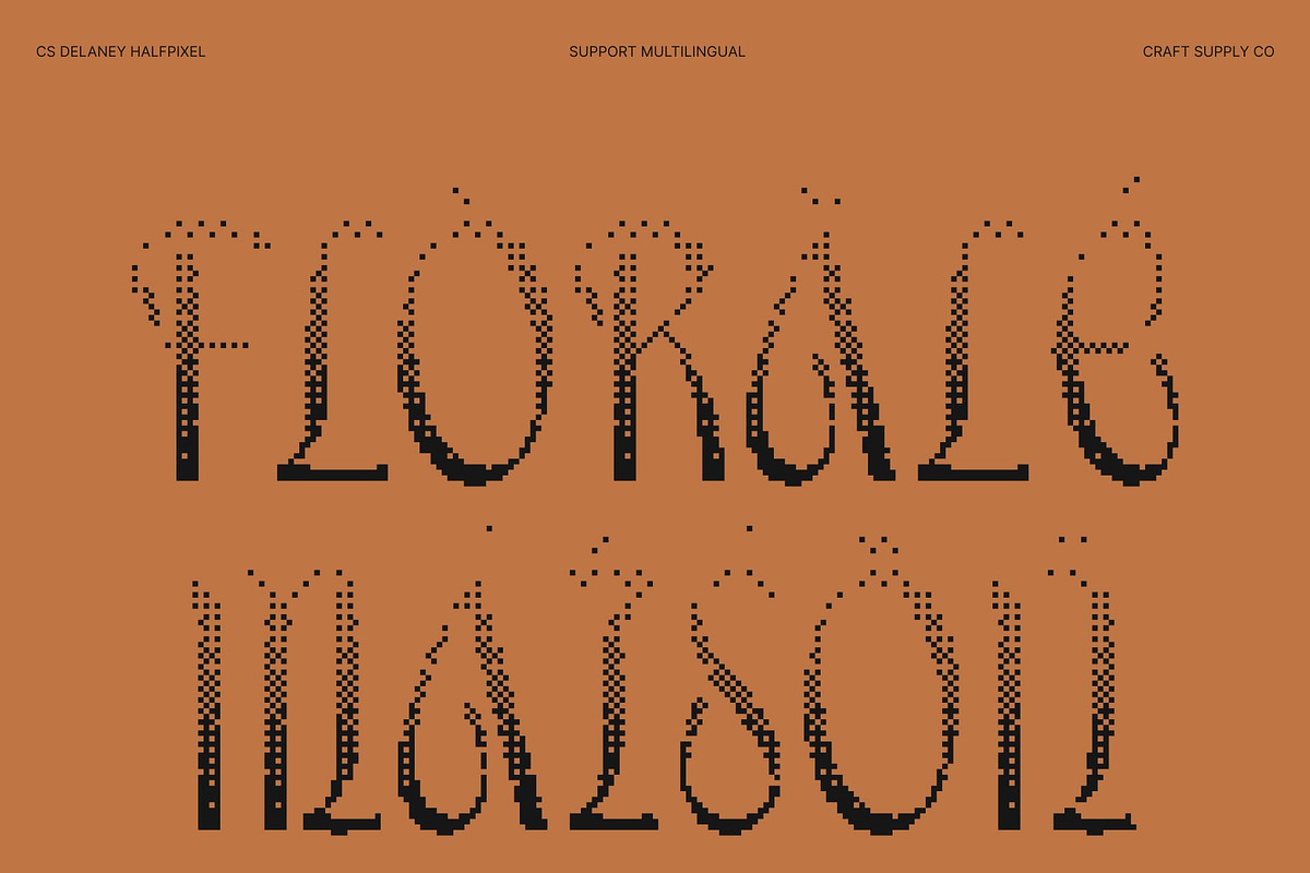 CS Delaney Halfpixel, a Sans Serif Font by Craft Supply Co. (Photo 7 of 8)