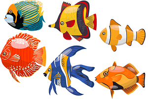 Tropical Fishes Crafts