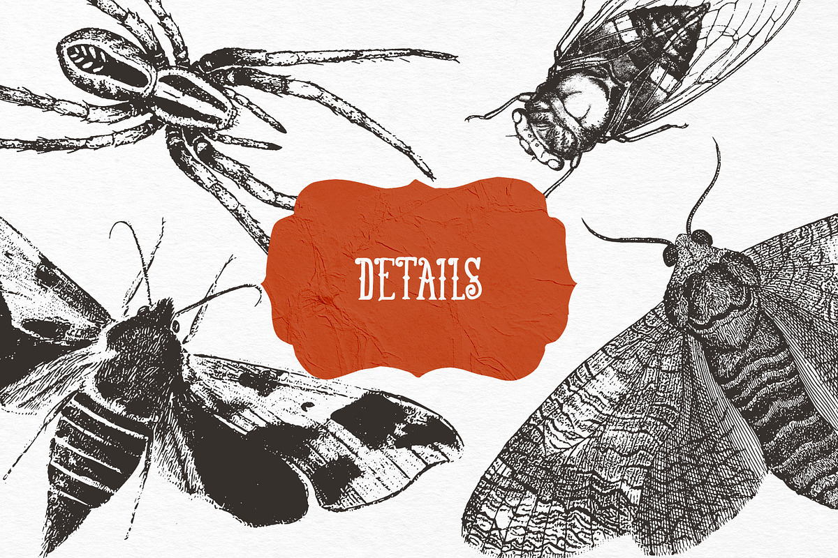 Bag of Bones | Vintage Clipart, a Seasonal Illustration by GVGraphics (Photo 10 of 13)