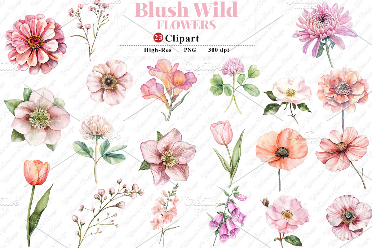 Watercolor Blush Wild Flowers, an Illustration by Watercolor design (Photo 1 of 12)