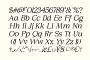 Sirkel - A Modern Serif Font, a Serif Font by Marvadesign (Thumbnail 9 of 10)
