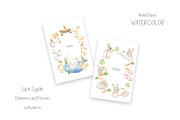 Watercolor Life Cycle Collection, an Education Illustration by MayaNavits (Thumbnail 15 of 15)