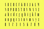 Coppola, a Serif Font by Chad Palmer Designs (Thumbnail 2 of 9)