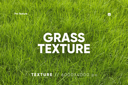 30 Grass Texture HQ, a Texture Graphic by CCPreset