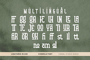 Conrela - Vintage Font, a Slab Serif Font by Viswal Studio (Thumbnail 3 of 6)