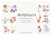 Watercolor Birthmonth florals Set, a Decorative Illustration by Grace Noboa Illustrations (Thumbnail 7 of 10)