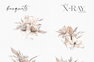 X-RAY Flowers Boho Collection