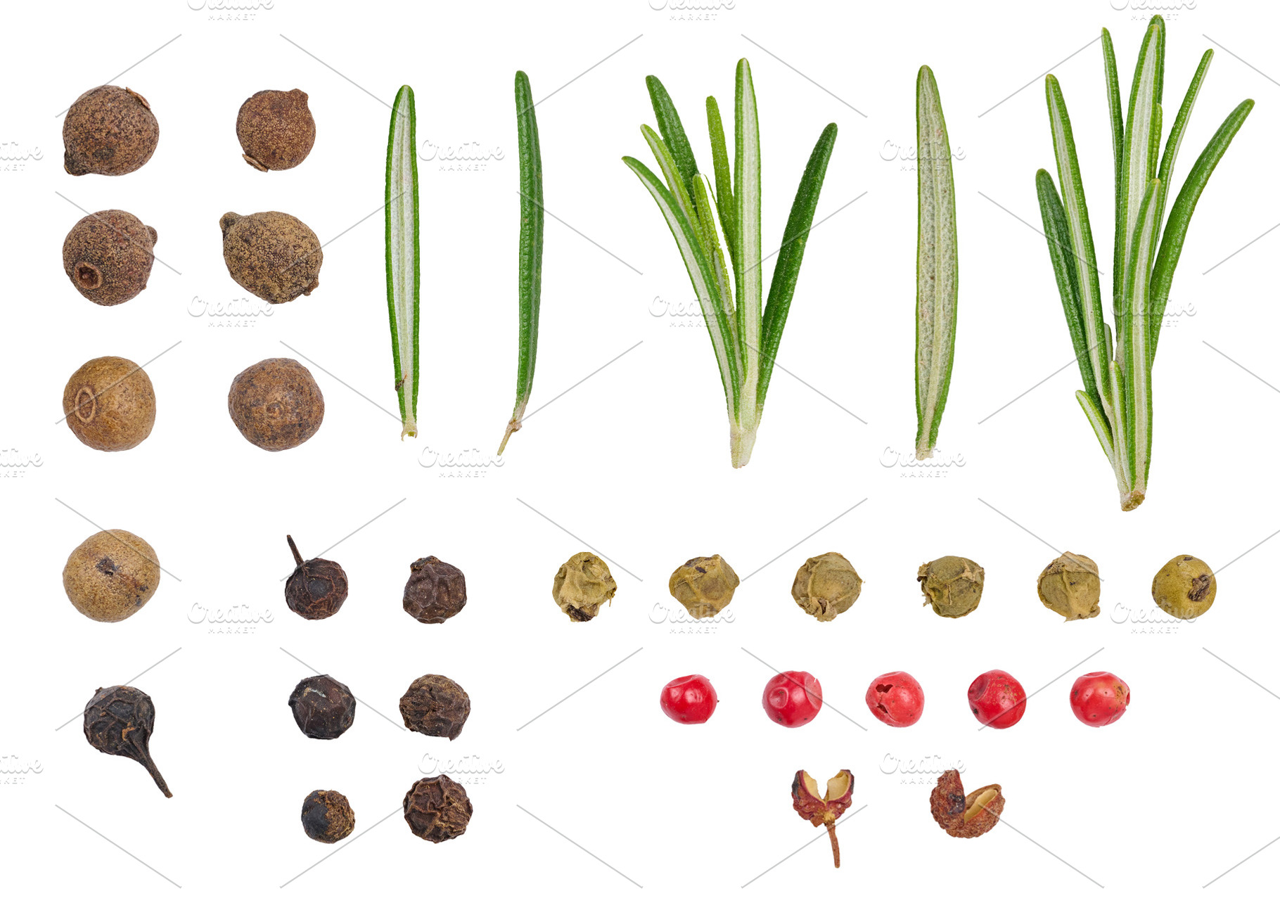 Fresh green rosemary sprigs and dry multi-colored peppercorns, a Food & Drink Photo by ndanko