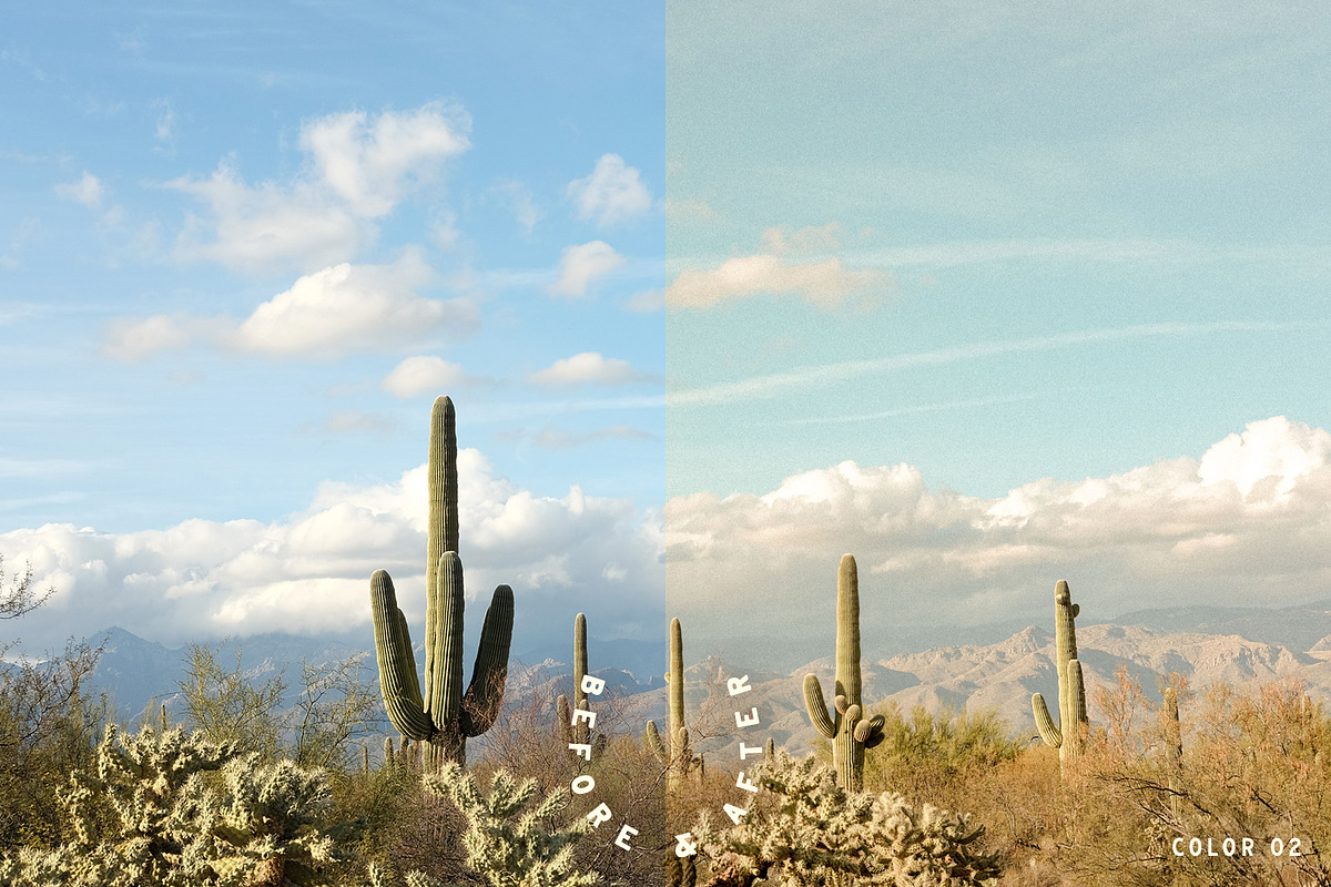 Mesquite Lightroom Presets, a Brushes & More by Cactus Country (Photo 2 of 11)