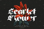 Big Fat Gothic Blackletter Typeface, a Blackletter Font by alit design (Thumbnail 4 of 11)