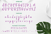Gippsland Brush Font, a Handwritten Font by adelaide (Thumbnail 2 of 4)