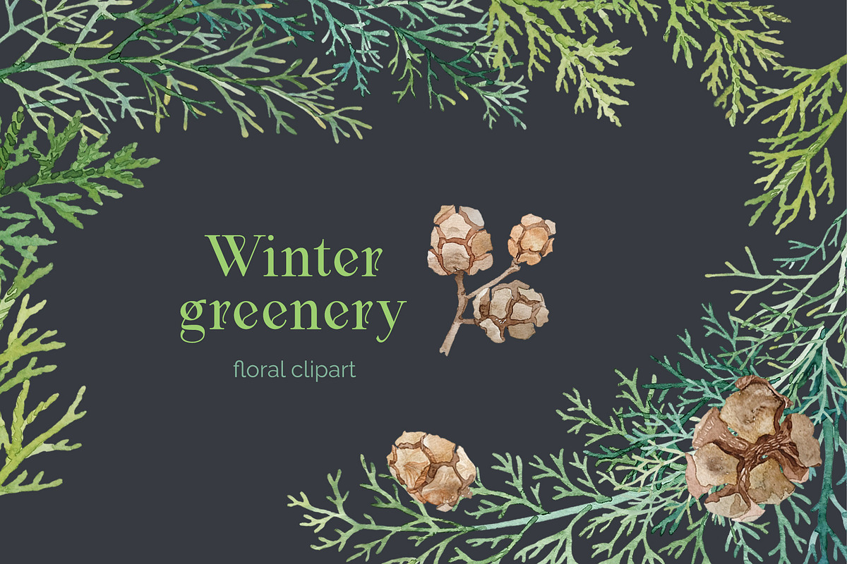 Winter greenery floral clipart, a Decorative Illustration by My Wondercolor (Photo 1 of 6)