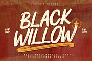 Black Willow - Handbrush, a Font by Krakenbox Studio (Thumbnail 1 of 12)