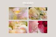 Soft Floral Spring Blur Backgrounds, a Background Graphic by eclosque (Thumbnail 48 of 48)