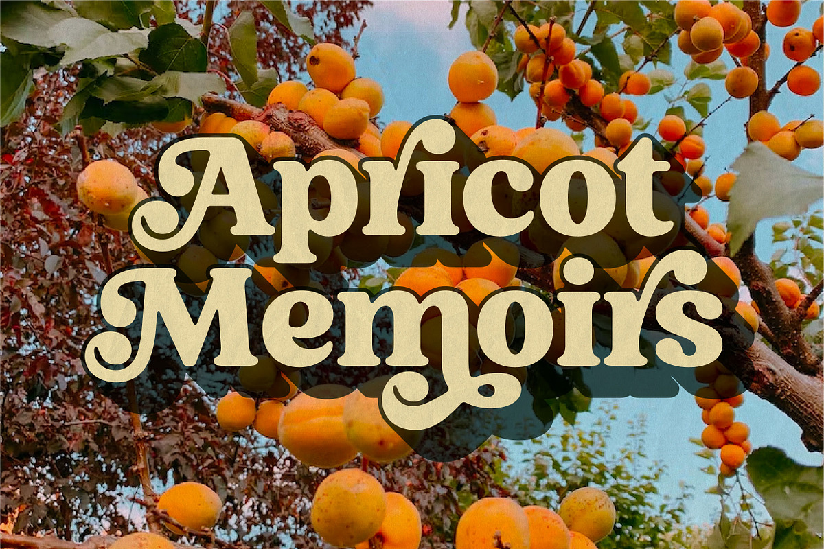 Milgraph, a Serif Font by Abbasy Studio (Photo 10 of 11)