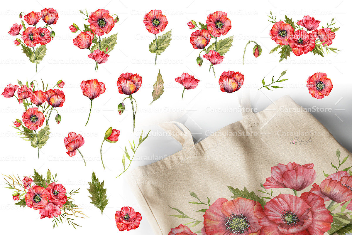 Red Poppy Watercolor Clipart, a Decorative Illustration by CaraulanStore (Photo 3 of 11)