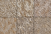 Realistic Cheetah Fur Texture, a Pattern Graphic by Artonix (Thumbnail 3 of 4)