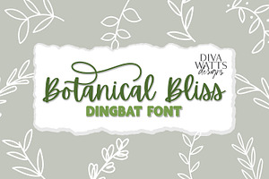 Botanical Bliss Dingbat Font