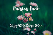 Daisies Pack, a Templates & Theme by ApertureVintage (Thumbnail 14 of 14)