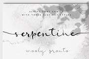 Serpentine Script Font Family, a Script Font by Wooly Pronto (Thumbnail 1 of 8)