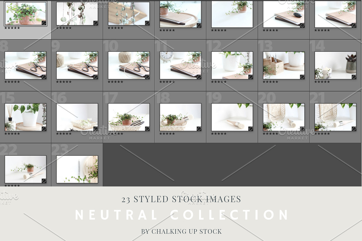 Neutral Collection | Styled Stock, a Business Photo by Chalking Up Stock (Photo 25 of 25)